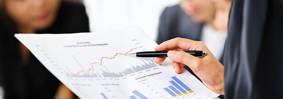 Professional reviewing financial charts and business documents